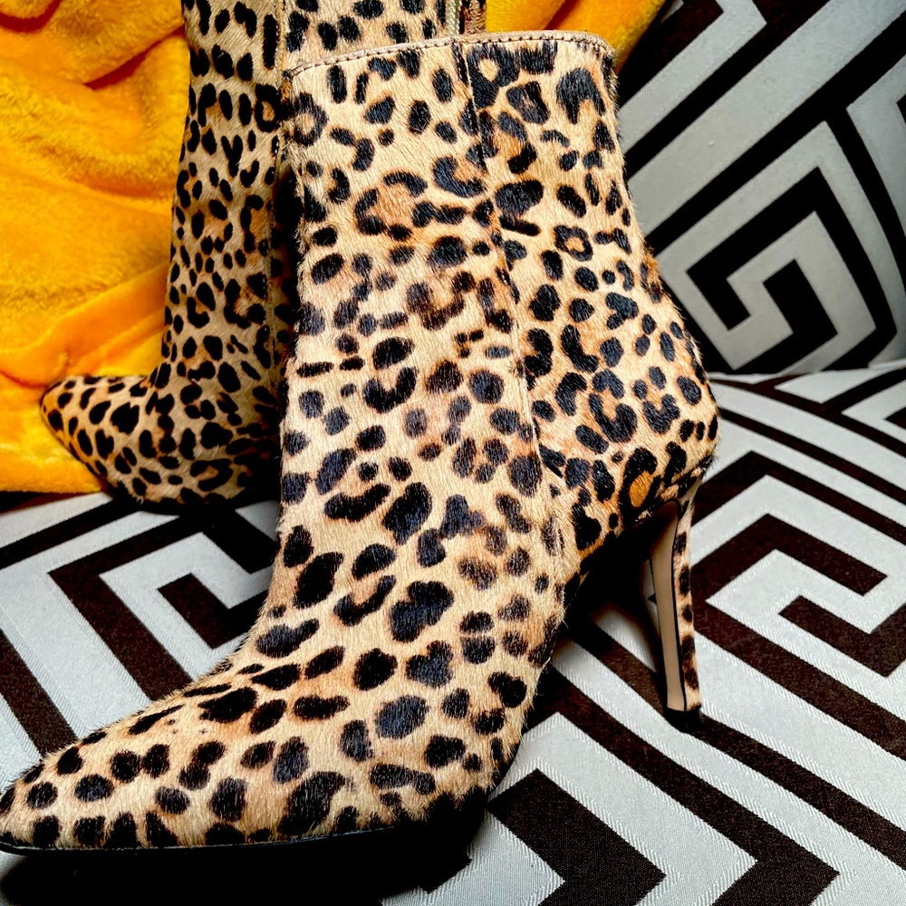 Lovely Leopard Print Steve Madden Carey Booties